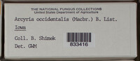 Image Associated With the Occurence